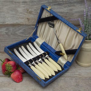 Vintage Cutlery, Art Deco Afternoon tea butter spreader utensils and server in original box, circa 1930&#39;s.