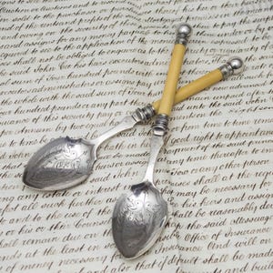 Vintage jam or preserve spoons, Pair with faux bone handles, circa early to mid century.