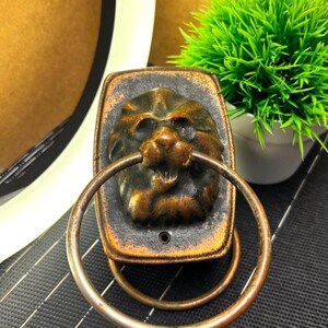 May include: A bronze-colored lion head door knocker with a ring handle. The lion's face is detailed with a textured finish, set against a rectangular, dark-toned background. A small, green plant in a white pot is visible in the background.