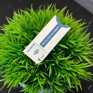 以下が含まれることがあります： 緑色の人工芝の上に、白と青のSandisk Memory Stick Duoアダプターが置かれています。アダプターにはSandiskのロゴ、「INSERT」の文字と矢印、そして「Memory Stick Duo Adapter」の文字が記載されています。