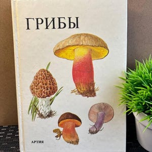 Puede incluir: Un libro vintage titulado "Hongos" en ruso, con ilustraciones coloridas de varias especies de hongos. La portada muestra un hongo grande con un tallo rojo y un sombrero amarillo, junto con otras variedades de hongos.