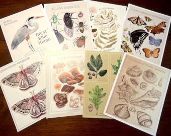 Postcard Gift Set, 8 cards