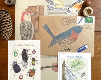 Bird Snail Mail Letter- "An Orchestra in the Forest" - Free Personalization