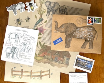 Elephant Snail Mail Letter - "Coexist" - Free Personalization