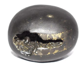 Rare Pradyumna Krishna Shaligram - Gandaki River Nepal