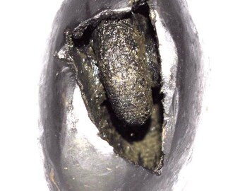 Sacred Adwaitya Golden KalpaVriksha Chamunda Bhadra Mahakali Shaligram - Gandaki River Nepal
