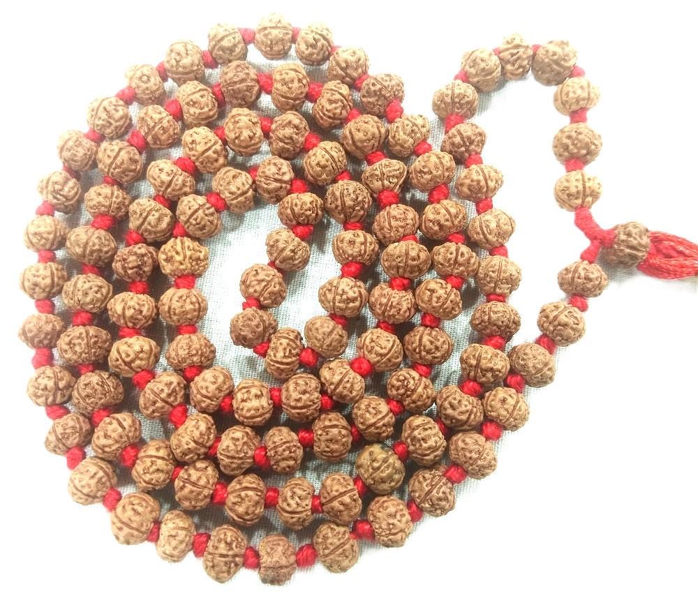 レア ルドラクシャ パトリ チクナ ビーズ マラ - 108+1 ビーズ - 6 mm