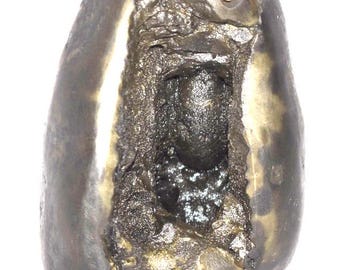 Sacred Adwaitya Golden Bhadra Chamunda Mahakali Shaligram - Gandaki River Nepal