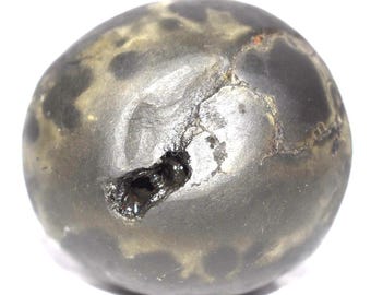 Krishna Shaligram - Vijaya Krishna Salagram - Gandaki River Nepal