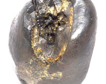 Sacred Adwaitya Golden Maa SkandaMata Navdurga Shaligram - Gandaki River Nepal