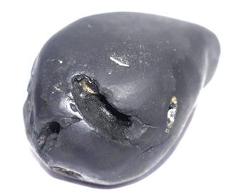 Rare Matsya Shaligram - Sushirankita Matsya Salagram - Gandaki River Nepal
