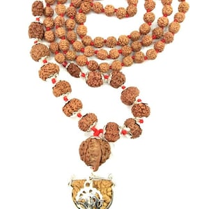 Rudraksha Siddha Mala / Combination of 1 Till 14 Mukhi With Gauri Shankar and Ganesha Rudraksha - 108+1 beads - Java - Lab Certified