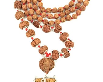 Rudraksha Siddha Mala: Java Beads, 1 till 14 mukhi with gauri shankar and ganesha rudraksha