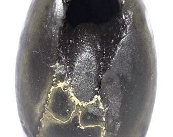 Sacred Baglamukhi Golden Kalpavriksha Dasha Mahavidya Shaligram - Gandaki River Nepal