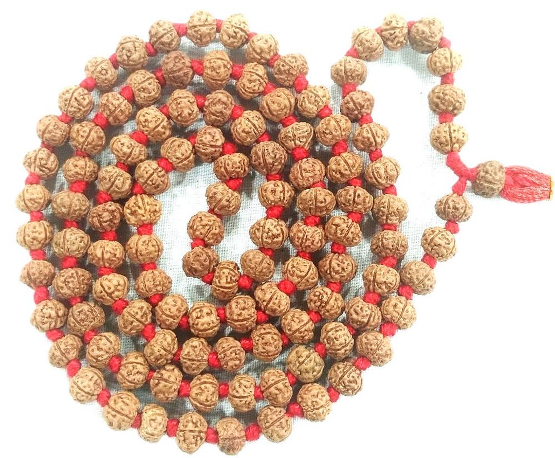 Pathri Rudraksh Rare Rudraksha Pathri Chikna Beads Mala - 108+1 Beads - 6 Mm ...