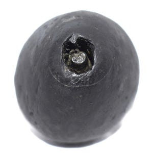 Heilige Adwaitya Adi Shakti Garbh Gouden Shivlinga Shaligram / Harihara Shaligram / Shankar Narayana Salagram - Gandaki River, Nepal