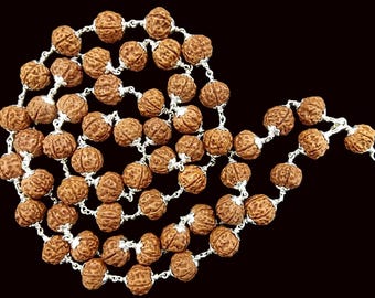 Rudraksha Pathri Beads (Smooth Chikna Beads) Mala in Pure Silver - 54+1 - Certified