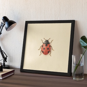 Ladybug Print | Downloadable Insect Print | Bug Art | Vintage Ladybug Art | Cute Bug Decor | Entomology Print | Whimsical Bug Illustration