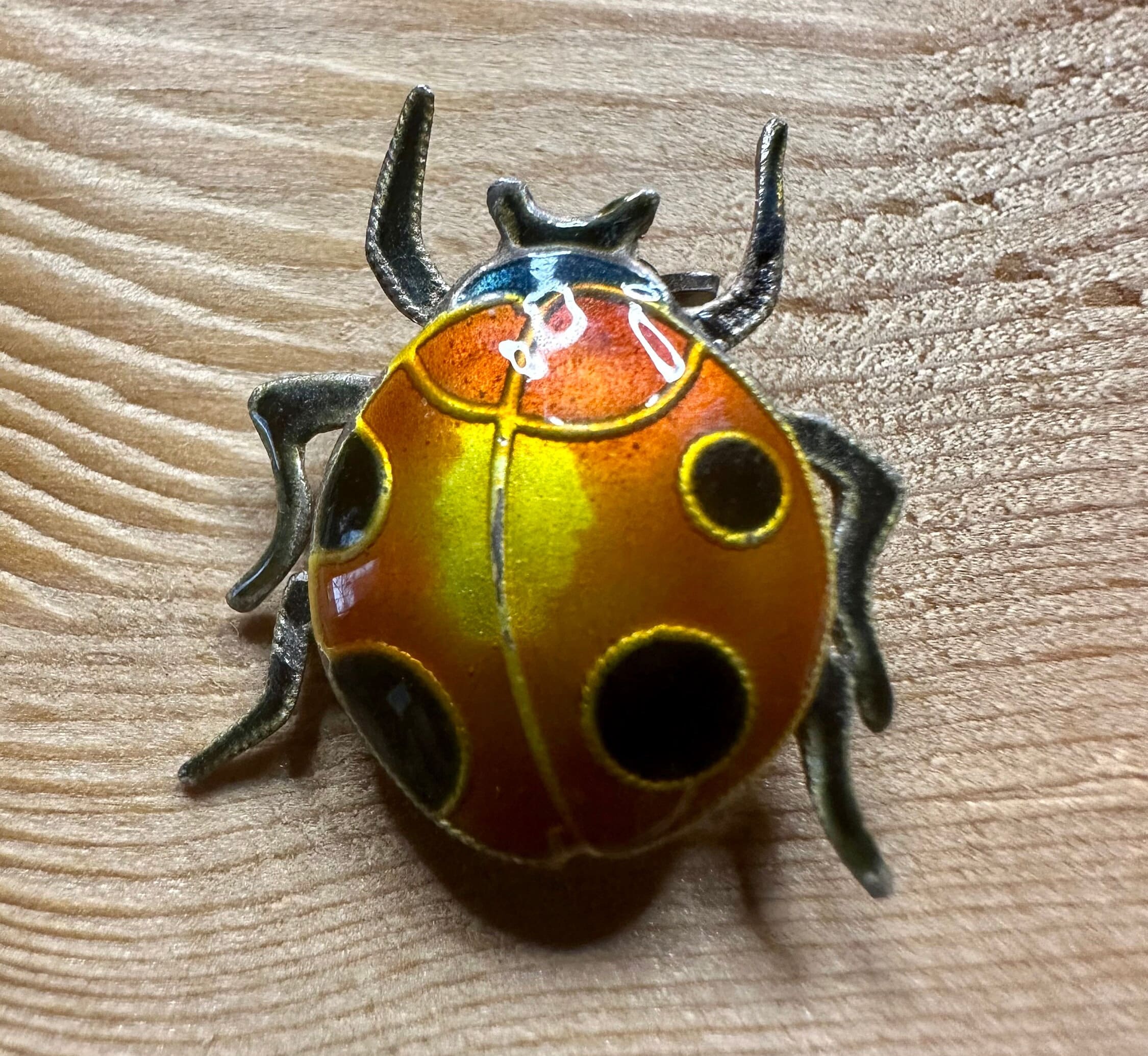 Lady Bug Lady Bug Enamel Pin Etsy