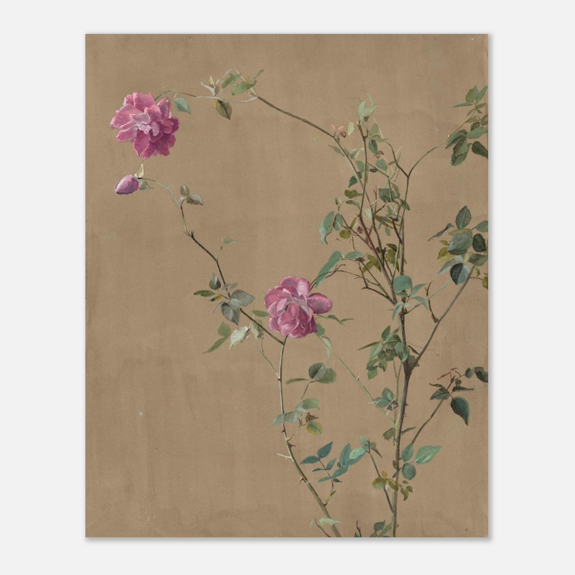 Vintage Pink Roses Wall Art Print Fidelia Bridges Botanical Watercolor ...