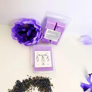 Drift & Dream Wax Melts