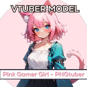 PNGTuber - Pink Gamer Girl / Vorgefertigt / Tier Vtuber / Streamer / 2D Model / Twitch / Anime / Vtuber / 2D Model / PNG Vtuber
