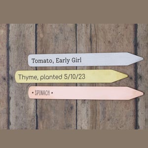 Plant Markers Custom Laser Engraved Herb Name Stakes Plant Mom Gift Gold Garden Markers Monstera Philodendron Houseplant Veggies