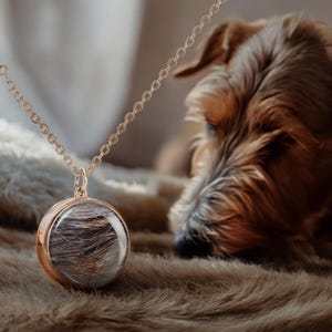 Pet Memorial Necklace DIY Kit: Sterling Silver Urn Pendant, Cremation Jewelry