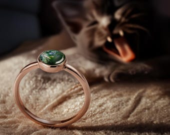DIY Pet Ring Kit with Fur or Hair, Personalized Ring Circle of Life Keepsake Jewelry Craft Gift for Dog Cat Lovers Animal Friend