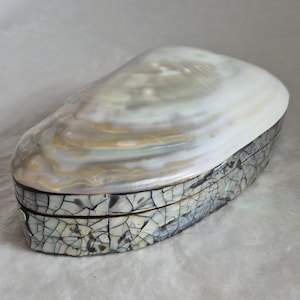 Op de afbeelding: Een ovaalvormige decoratieve doos met een glad, iriserend deksel van parelmoer met wervelende witte, crèmekleurige en zachte goudtinten. De basis van de doos is bedekt met een mozaïek van kleine, gebarsten, gebroken witte en grijze schelpfragmenten.