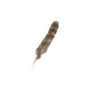 Pheasant Feather Sticker | Hand Drawn Nature Inspired Art
