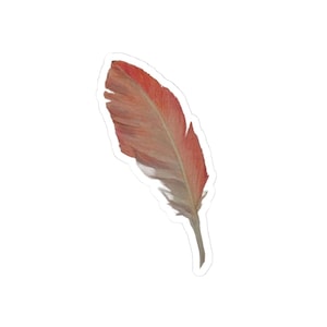 Pinker Flamingo-Feder-Aufkleber | Hand gezeichnete inspirierte Kunstwerk | Insel Luxus
