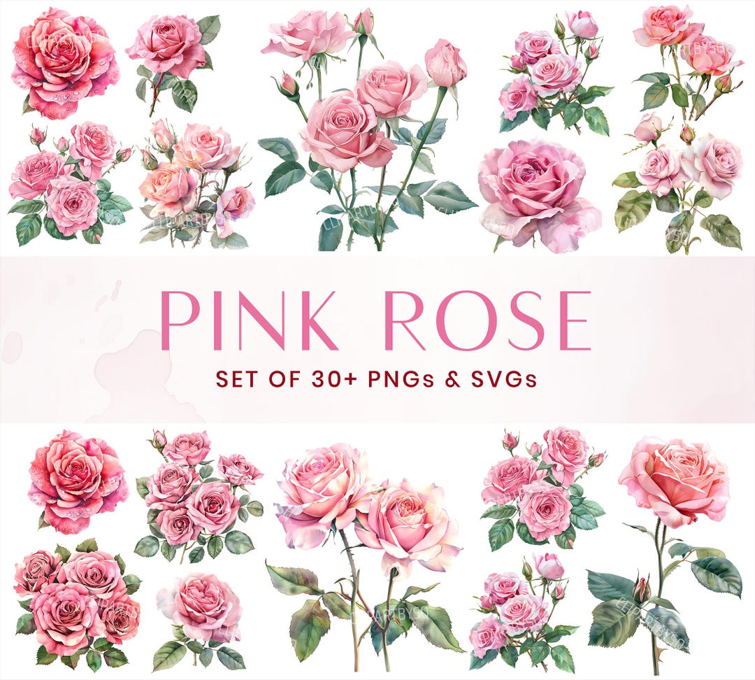 Pink Watercolor Roses PNG Bundle, Pink Roses Clipart Set, Pink Wedding ...