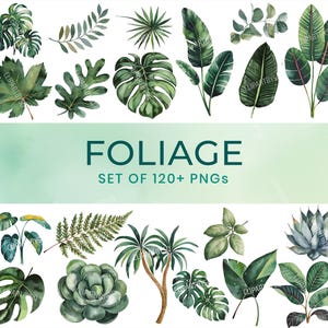 Paquete de follaje verde en acuarela: 120 imágenes prediseñadas, hojas de monstera, gráficos digitales de naturaleza (fondo transparente, PNG para uso comercial)