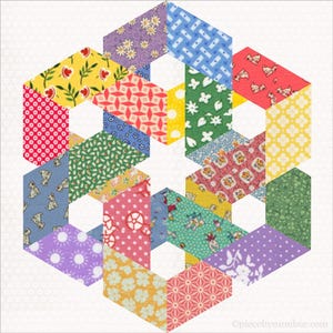 Può includere: Un blocco di trapunta colorato con un design geometrico che presenta una varietà di motivi floreali in tonalità di rosso, giallo, blu, verde e viola.