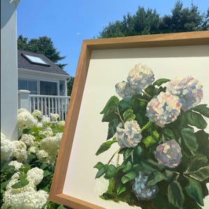 Hydrangeas