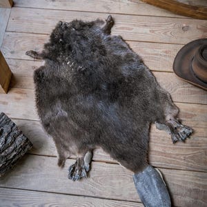 Könnte beinhalten: Ein dunkelgrauer Biberfellteppich mit strukturiertem Schwanz und Schwimmhäuten. Das Fell ist eine Mischung aus Dunkel- und Hellgrau mit einem natürlichen, rustikalen Aussehen. Der Teppich liegt auf einem Holzboden.