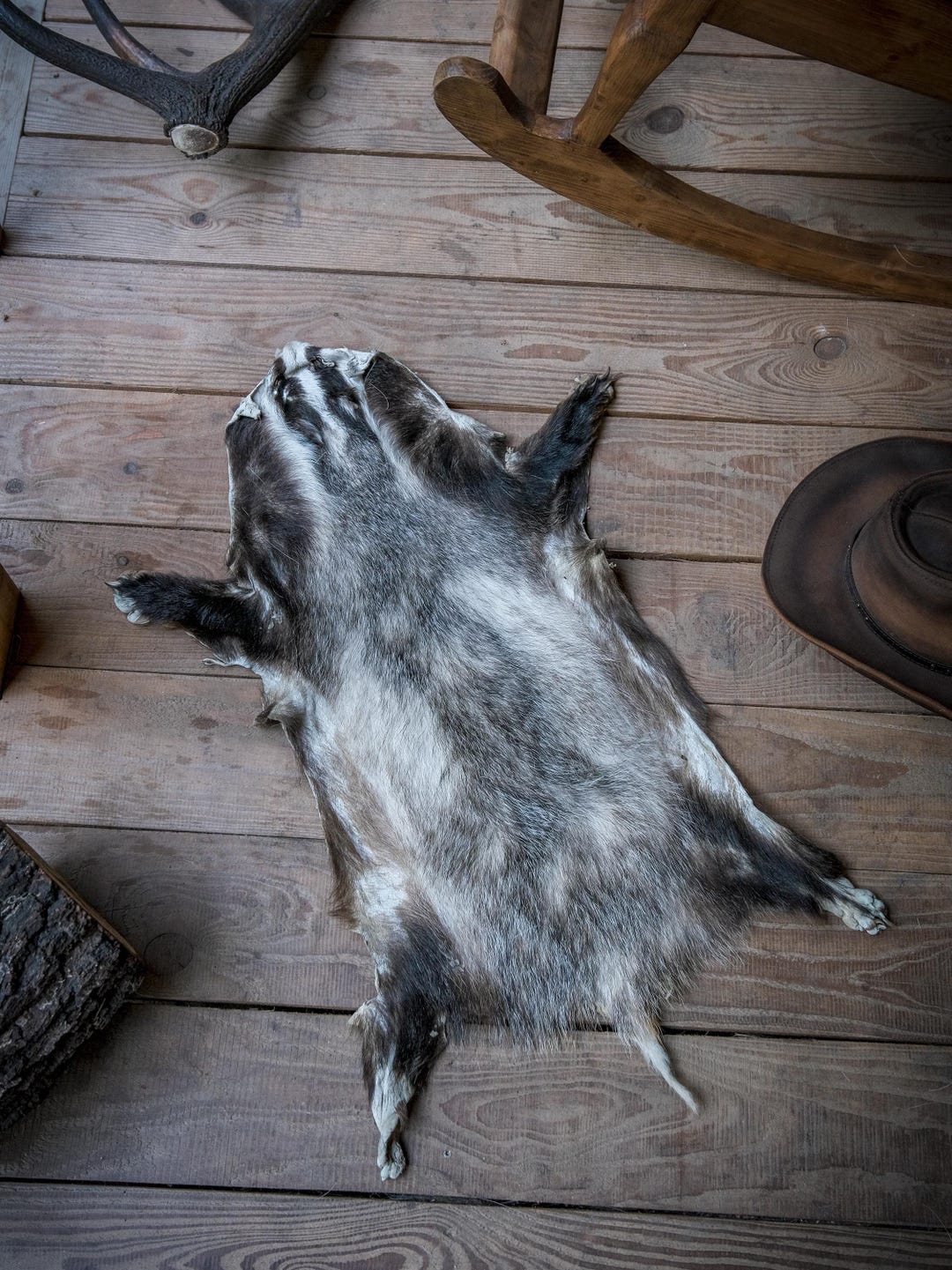 Badger Rug Genuine Badger Fur Hide, Natural Rug, Rustic Home Decor, European ...