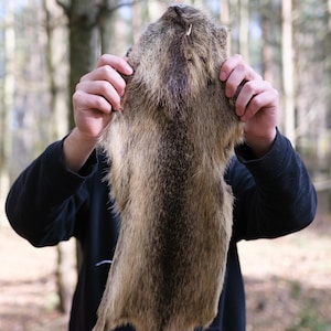 Könnte beinhalten: Ein gegerbtes Tierfell mit braunem und hellbraunem Fell wird vor einer Person hochgehalten. Das Fell ist rechteckig mit einem spitz zulaufenden Boden. Der Hintergrund ist eine verschwommene Waldszene.