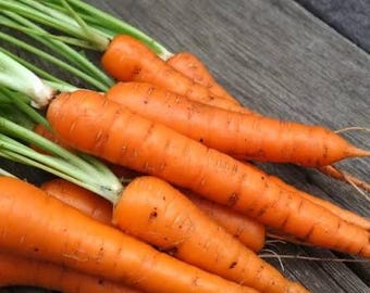 May include: A close-up of a bunch of fresh, orange carrots with green stems and leaves. The carrots are arranged on a weathered, gray wooden surface, showcasing their vibrant color and natural texture. The image highlights the carrots' organic appearance.