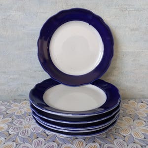 May include: A stack of six white ceramic plates with a navy blue scalloped rim. One plate is stacked on top of the others. The plates are on a floral patterned tablecloth. The background is a light blue wall.