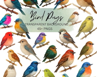 Bird PNG Set, Colorful Songbird Clipart Pack, Watercolor Wildlife Art, Nature Illustration Digital Download