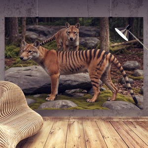 Zwei Beutelwolf im Wald - Realistisches wild lebendes Poster Tasmanische Tiger in natürlichem Lebensraum | Ausgestorbene Tierkunst