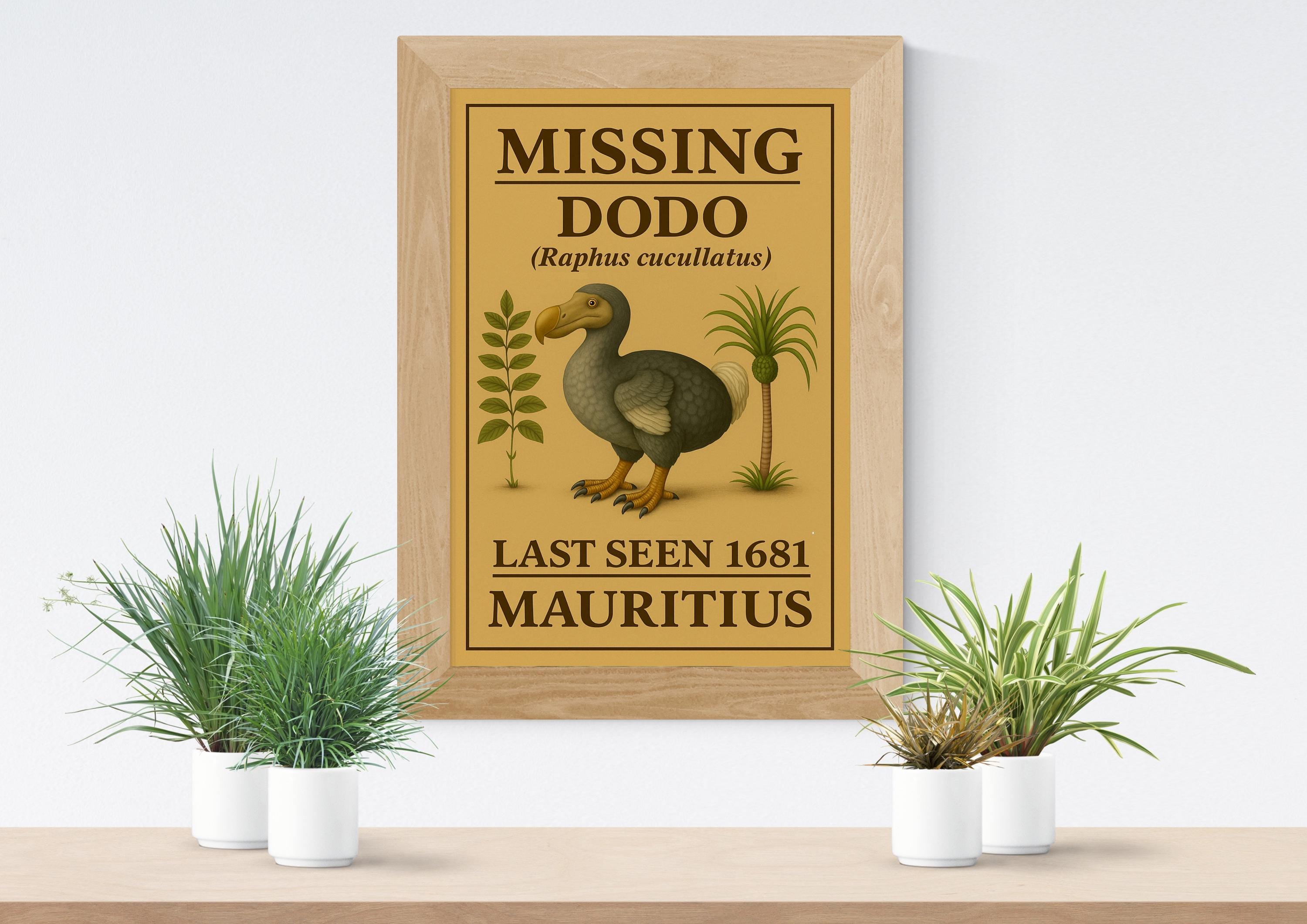 Vintage Dodo Bird Poster: Extinct Species Art Print - Etsy