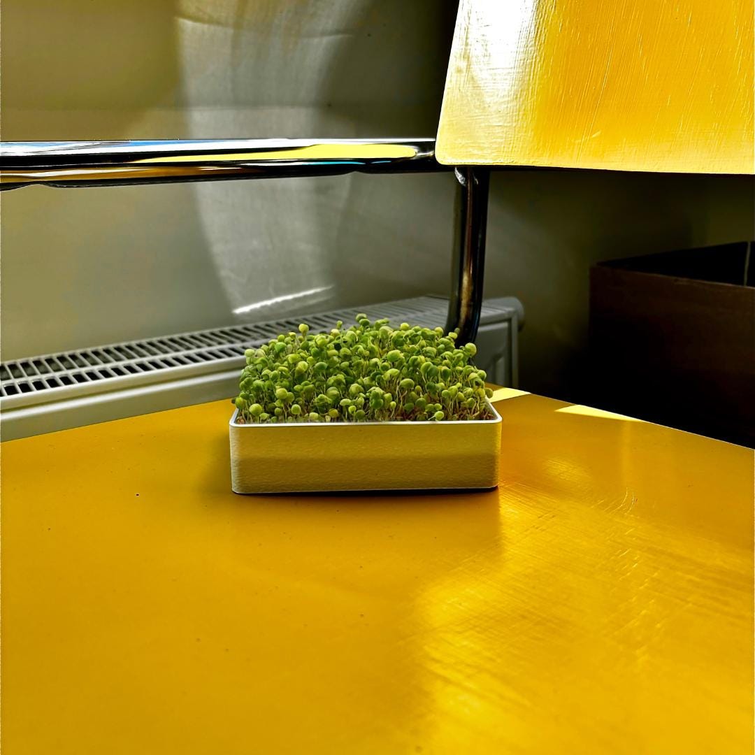 Stunning Compact Microgreens For Small Spaces image