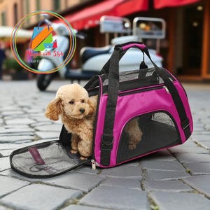 Airline Approved Pet Carrier – Breathable Mesh Travel Bag for Small Dogs & Cats
