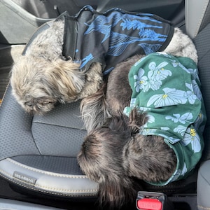 Pet Aloha Shirts