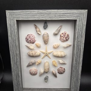Sea Shell and Starfish Shadow Box Art 5 X 7 - Etsy