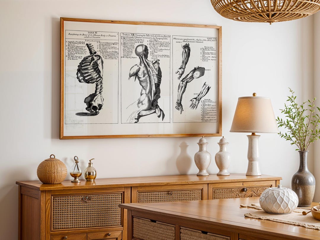 Vintage Anatomy Poster Antique Medical Illustration Print Skeletal and ...