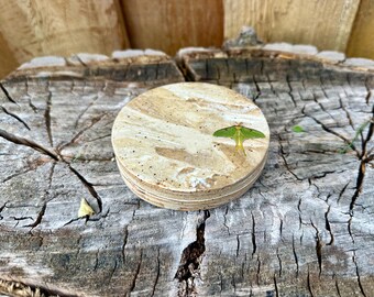 Set of FIVE Handmade Ceramic Pottery Marbled Luna Moth Coasters - Discounted Seconds
